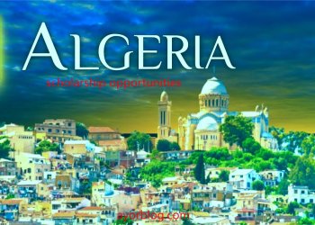 Scholarship Opportunities in Algeria for International  Students