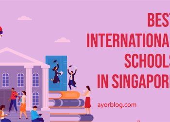 Top Schools in Singapore for Pursuing International Degrees