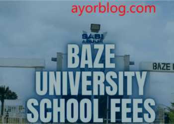 Baze University School Fees and Available Courses in 2025/2026