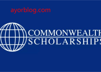 How to Get 2025/2026 Common Wealth Scholarship
