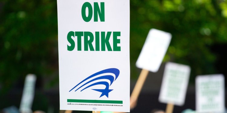 ASUU Imo State University Indefinite Strike: Key Issues Explained