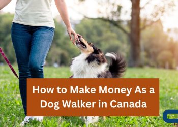 How to Make Money As a Dog Walker in Canada
