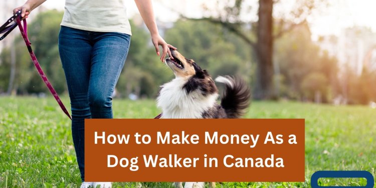 How to Make Money As a Dog Walker in Canada