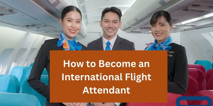 How to Become an International Flight Attendant
