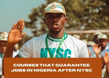 Top 20 Courses That Guarantee Jobs in Nigeria After NYSC