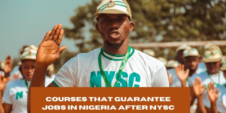 Top 20 Courses That Guarantee Jobs in Nigeria After NYSC