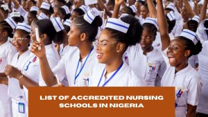 List of Accredited Nursing Schools in Nigeria