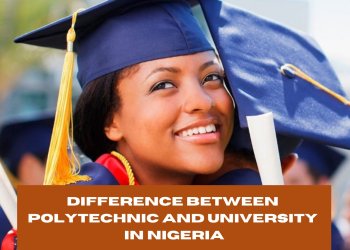 Difference Between Polytechnic and University in Nigeria Explained